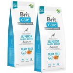 Brit Care Grain Free Junior Large Breed Salmon 2 x 12 kg – Hledejceny.cz