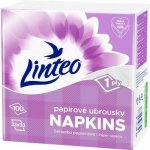Linteo 1V bílé papírové ubrousky 100ks 33x33cm – Zboží Dáma