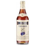 R. Jelínek Plum Liquer 18% 0,7 l (holá láhev) – Zboží Dáma
