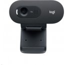 Logitech C505 HD Webcam