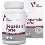 VetExpert Hepatiale Forte pro velká plemena 40 tbl – Hledejceny.cz