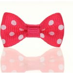 Mašlička puntík malinovobílá – Sleviste.cz