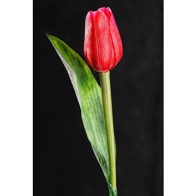 Tulipán umělý A108 - červený – Zboží Mobilmania