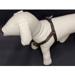 Palkar motýlek postroj pro psy – Zbozi.Blesk.cz