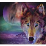 Norimpex Diamantové malování Vlčí pohled 30 x 40 cm – Hledejceny.cz