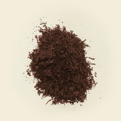 PlantBee Vlákna Tree Fern 20 l – Hledejceny.cz