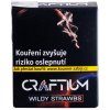 Tabáky do vodní dýmky Craftium Wildy Strawbs 20 g