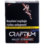 Craftium Wildy Strawbs 20 g – HobbyKompas.cz