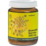 Wellbear Boswellia Serrata 200 mg 60 kapslí – Hledejceny.cz