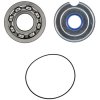 Zapalovací svíčka Crankshaft service kit RMS 100201540