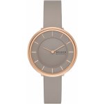 Skagen SKW3061 – Hledejceny.cz