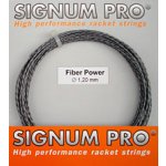 Signum Pro Fiber Power 10m 1,20mm – Zboží Mobilmania