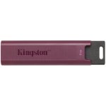 Kingston DataTraveler Max 1TB DTMAXA/1TB – Zboží Mobilmania