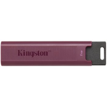 Kingston DataTraveler Max 1TB DTMAXA/1TB