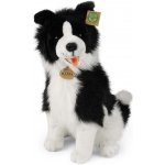 Eco Friendly Rappa pes border kolie 40 cm – Zboží Mobilmania