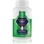 Altervet Cartilan CBD+ 60 g 40 tbl – Zbozi.Blesk.cz