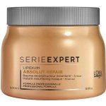L'Oréal Expert Absolut Repair Lipidium Mask 500 ml – Zboží Dáma