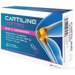 Cartiline Artro glukosamin + chondroitin tablety 60 ks – Hledejceny.cz
