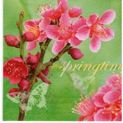 Ubrousek 33x33cm Rozkvetlá větvička – Zbozi.Blesk.cz