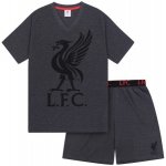 Fan Store FC Liverpool pyžamo krátké tmavě šedé – Sleviste.cz