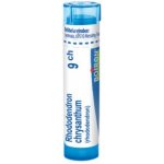 RHODODENDRON CHRYSANTHUM POR 9CH GRA 1X4G – Hledejceny.cz