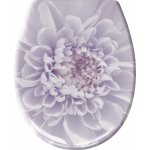 Kleine Wolke Dahlia 1866851075 – Hledejceny.cz