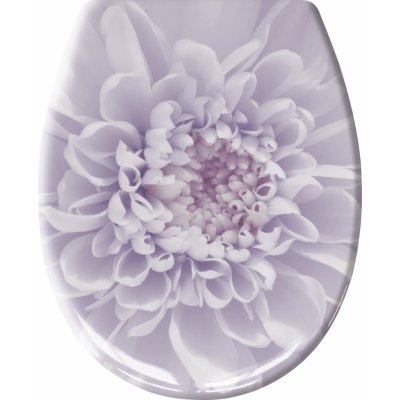 Kleine Wolke Dahlia 1866851075 – Hledejceny.cz