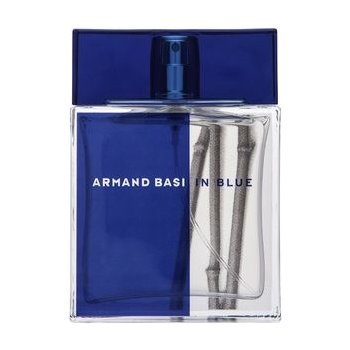 Armand Basi In Blue toaletní voda pánská 100 ml