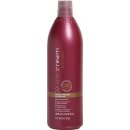 Inebrya Pro-Color Color Perfect Shampoo 300 ml