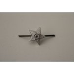 Odznak ČSLA hvězda malá - stříbrná – Sleviste.cz