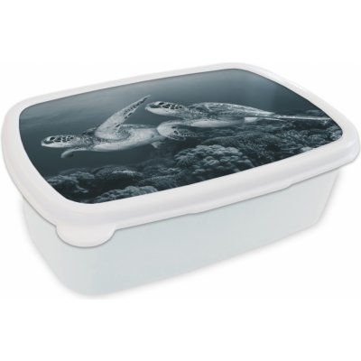 MuchoWow® Lunchbox Box na oběd 17x11 cm Želva - Mořská zvířata - Černobílý - Divoká zvířata Dětský box na oběd - Děti - Box na sendvič - Školní box - Boxy na oběd – Hledejceny.cz