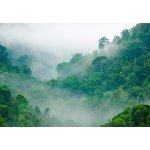 Postershop Fototapeta vliesová: Deštný prales rozměry 368x254 cm – Zboží Mobilmania