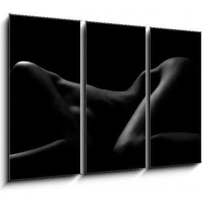 Obraz 3D třídílný - 105 x 70 cm - Sexy body nude woman. Naked sensual beautiful girl. Artistic black and white photo. Sexy tělo nahá žena. Nahá smyslná krásná dívka. Umě – Zboží Mobilmania