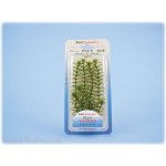 Tetra Anacharis 15 cm – Sleviste.cz