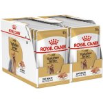 Royal Canin Yorkshire Terrier Adult 24 x 85 g – Sleviste.cz