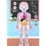 Nerf Nitro MotoFury Rapid Rally + 9 aut C0787 – Zboží Dáma