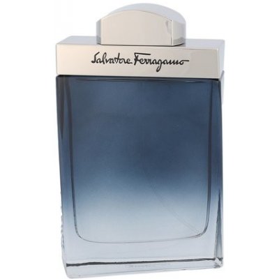 Salvatore Ferragamo Subtil Pour Homme Toaletní voda 100 ml pro muže