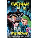 Batman 6 - Stav strachu – Hledejceny.cz