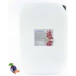 PM Aqualog esence do parních kabin skořice-švestka 950-010/D 10 l – Hledejceny.cz
