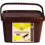 Fitmin Elektrolyt 4 kg – Zboží Mobilmania