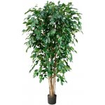 Ficus Benjamina Exotica Tree (18x180cm)-umělá -ý – Sleviste.cz