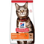 Hill's Feline Adult Lamb & Rice 1,5 kg – Zboží Mobilmania