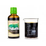 Bylinné kapky Křídlatka tinktura 50 ml – Hledejceny.cz