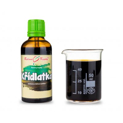 Bylinné kapky Křídlatka tinktura 50 ml – Hledejceny.cz