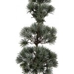 Vánoční dekorace jehličnatý stromek na dřevě M - 14*14*60 cm - Clayre & Eef – Hledejceny.cz