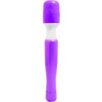 Wanachi Mini Massager – Sleviste.cz