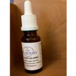 Bachovy květové BIO esence Les fleurs de Bach Modré pondělí esence pro radost ze života 20 ml – Hledejceny.cz
