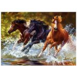 Norimpex Diamantové malování Koně v řece 30 x 40 cm – Hledejceny.cz