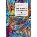 Psychedelie a psychonautika II. - Rizika užívání, spiritualita, etika a právo - Cink Vojtěch