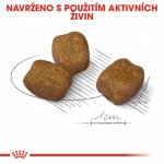 Royal Canin Mini Dental 8 kg – Zboží Mobilmania